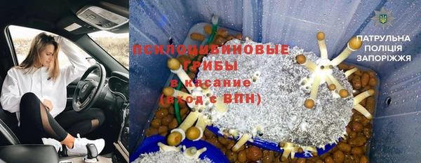 PSILOCYBIN Баксан