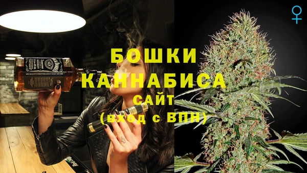 PSILOCYBIN Баксан