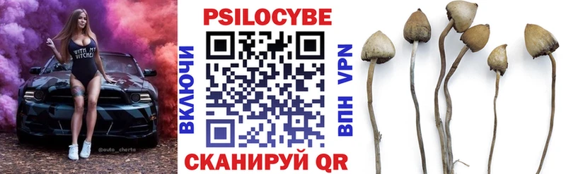 купить наркоту Опочка Галлюциногенные грибы мухоморы
