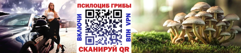 Псилоцибиновые грибы Psilocybine cubensis Опочка