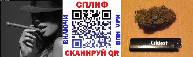купить   Опочка  Каннабис семена 